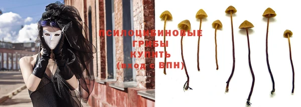герыч Алексин