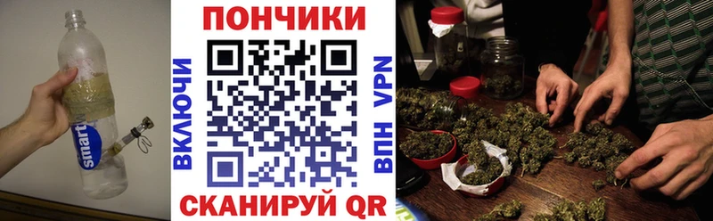 сколько стоит  Краснозаводск  Канабис сатива 